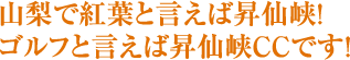 山梨で紅葉と言えば昇仙峡！ゴルフと言えば昇仙峡CCです！