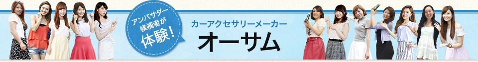 カーアクセサリーメーカーオーサム