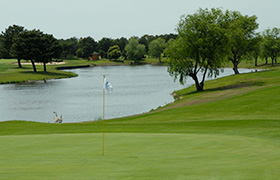 ワイルドダックカントリークラブ