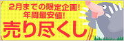 新春 初売り