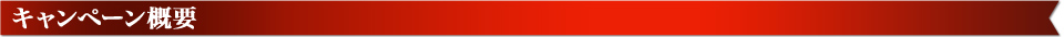 キャンペーン概要 
