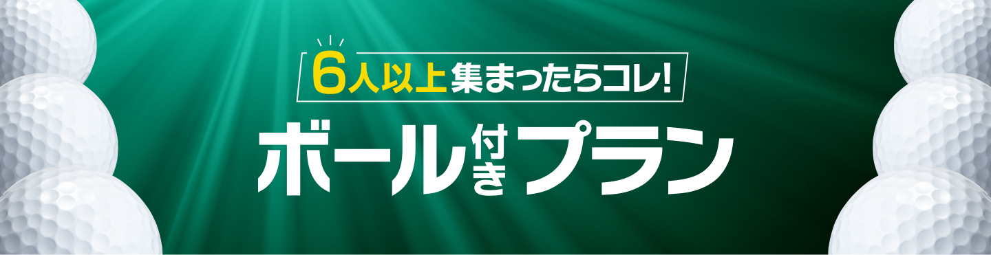 6人以上集まったらコレ！ボール付きプラン