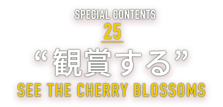 SPECIAL CONTENTS 25 “観賞する” SEE THE CHERRY BLOSSOMS