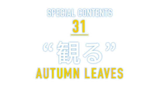 SPECIAL CONTENTS 31 “観る” AUTUMN LEAVES