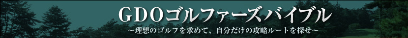 GDO ゴルファーズ バイブル～理想のゴルフを求めて、自分だけの攻略ルートを探せ～