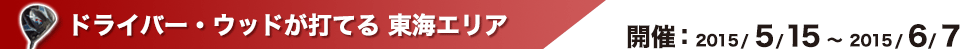 ドライバー　ウッド　東海エリア