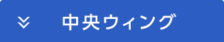 中央ウィング