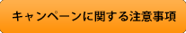 キャンペーンに関する注意事項