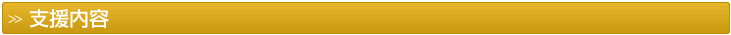 支援内容