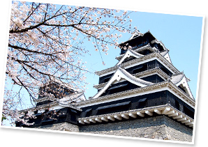 3月下旬から4月上旬に熊本に行くなら 桜の名所 熊本城