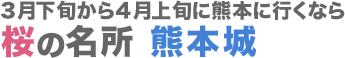 3月下旬から4月上旬に熊本に行くなら 桜の名所 熊本城