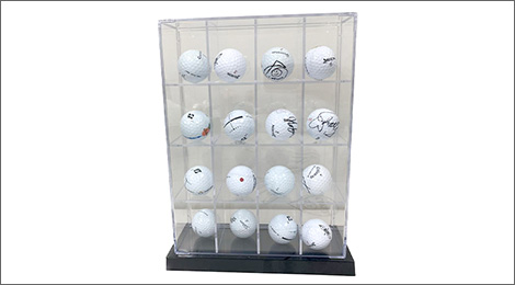 出場プロ16名のサイン入りボール