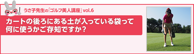 カートの後ろにある土が入っている袋って何に使うかご存知ですか？