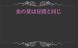 虫の量は昼間と同じ