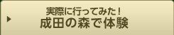 実際に行ってみた！スタッフの体験リポート