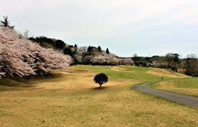 スカイウェイカントリークラブ