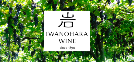 IWANOHARAWINE