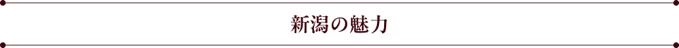 新潟の魅力