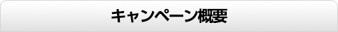 キャンペーン概要