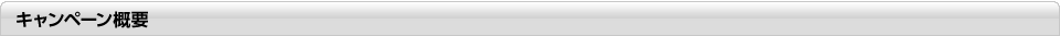 キャンペーン概要