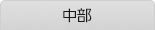 中部