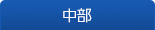 中部