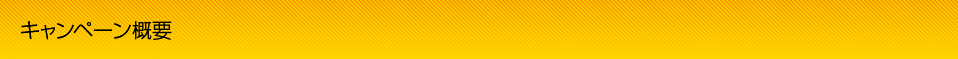 キャンペーン概要