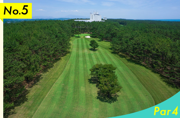 No.5 Par4