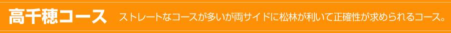 高千穂コース ストレートなコースが多いが両サイドに松林が利いて正確性が求められるコース。