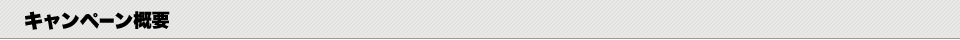 キャンペーン概要