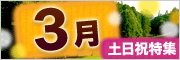 2月・3月の土日祝特集
