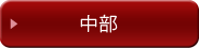 中部