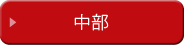 中部