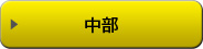 中部