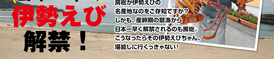 今年の夏は“海ゴルフ”房総は日本一早く伊勢えび解禁！