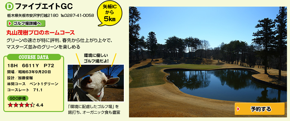 ファイブエイトGC