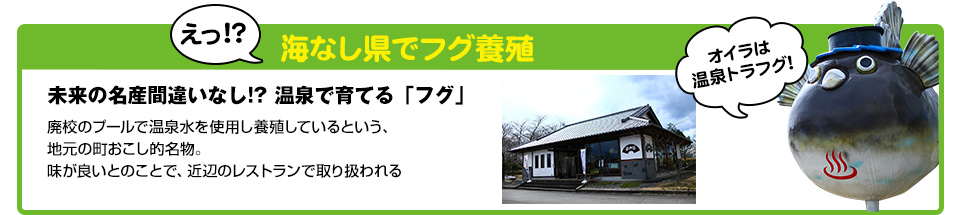えっ!?海なし県でフグ養殖
