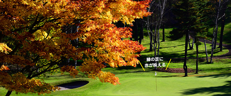 秋深まる“みちのく”で紅葉ゴルフ 岩手八幡平