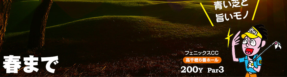 フェニックスはこれからベストシーズン 春までゴルフの首都は“宮崎”です！