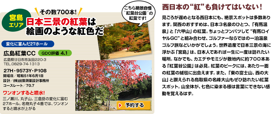 【宮島エリア】その数700本!日本三景の紅葉は絵画のような紅色だ