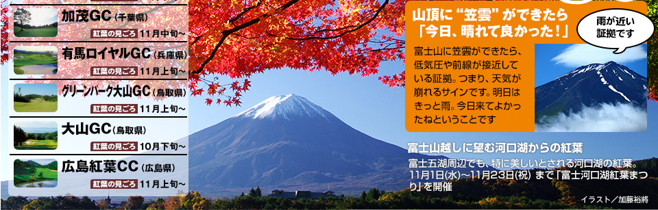 特等席から秋を満喫  今年はコースで “紅葉狩り”