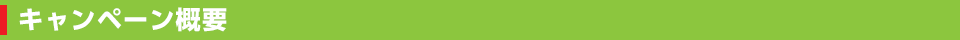 キャンペーン概要