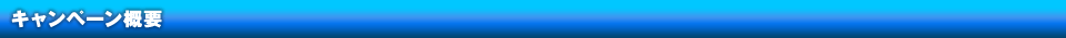 キャンペーン概要
