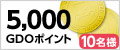 5,000GDOポイント