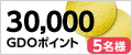 20,000GDOポイント