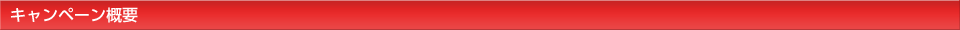 キャンペーン概要