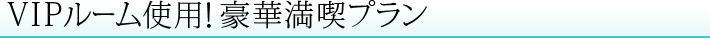 VIPルーム使用！豪華満喫プラン
