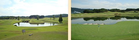 新陽カントリー倶楽部