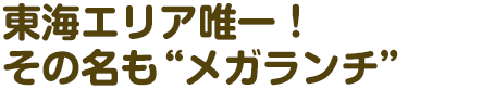 東海エリア唯一！その名も”メガランチ”