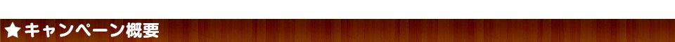 キャンペーン概要